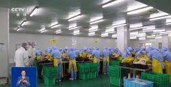 <strong>为防腐、保鲜和加工工艺的需要而插手食</strong> 
